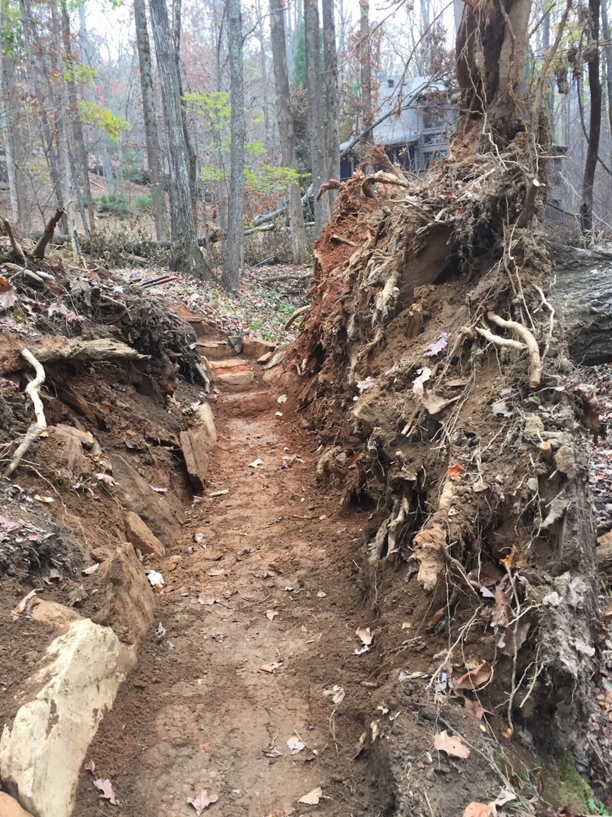 Trails 3